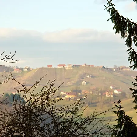 Tourist Farm Bizjak בית חווה Pristava pri Mestinju